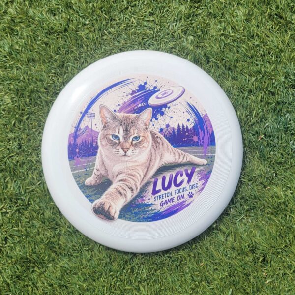 Custom Ultimate Frisbee (Direct Print) - Image 5